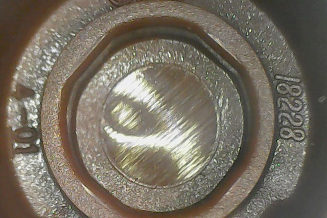 18228-reddish-brown underside