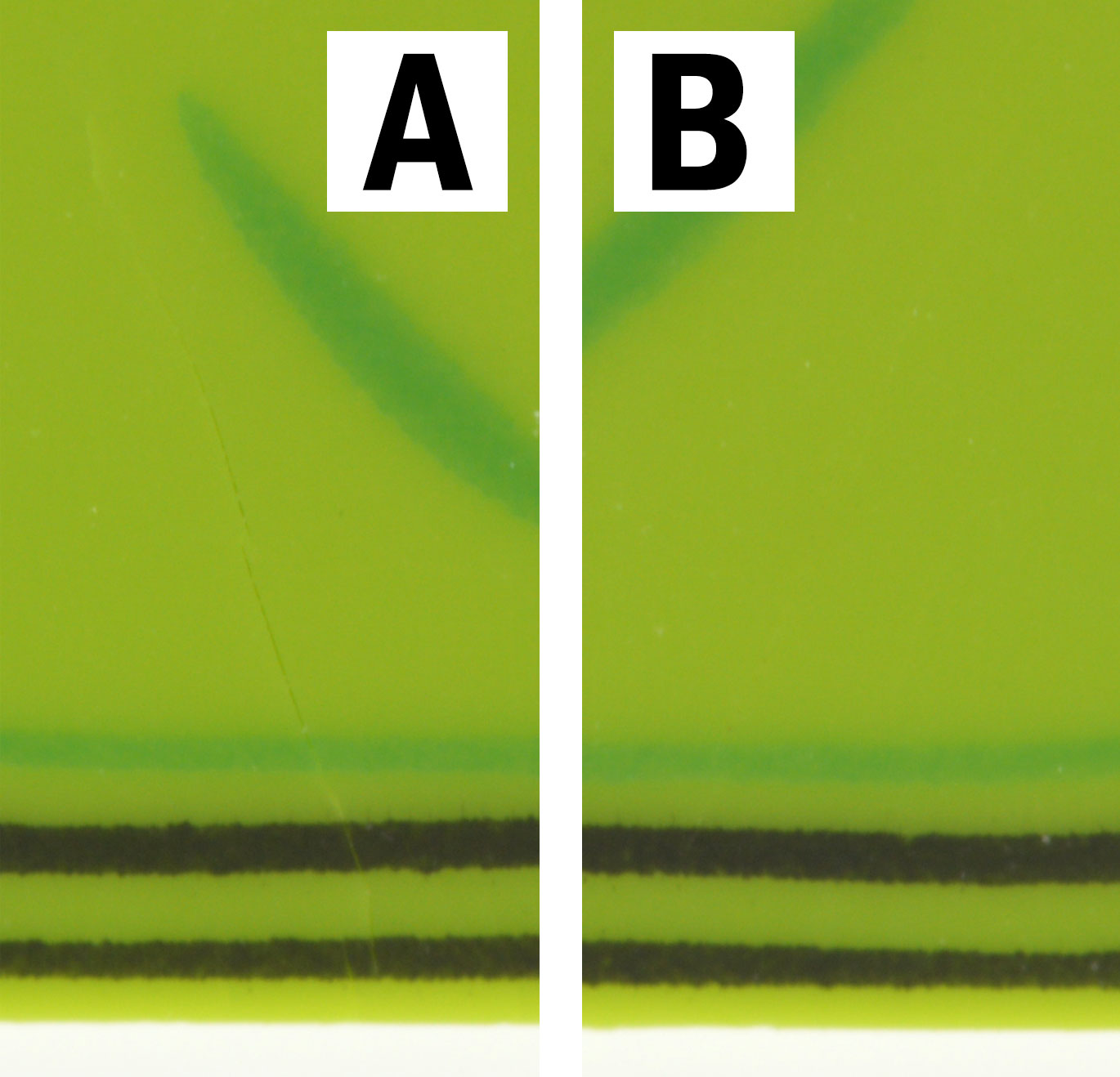 front no legs closeup