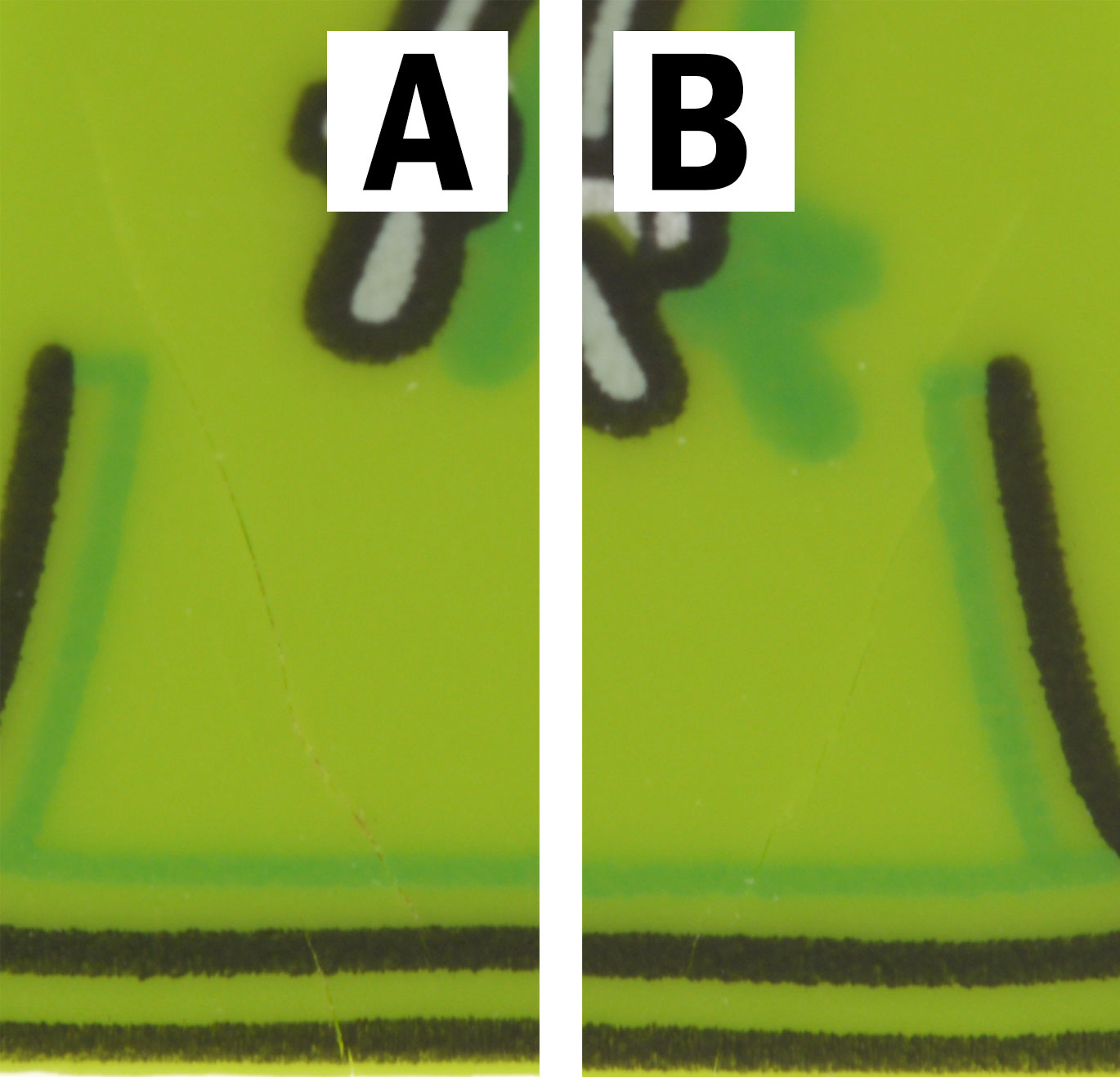 front no legs closeup