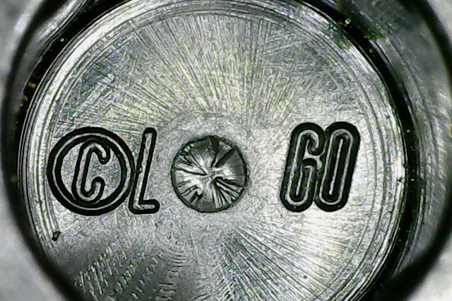 black spider underside