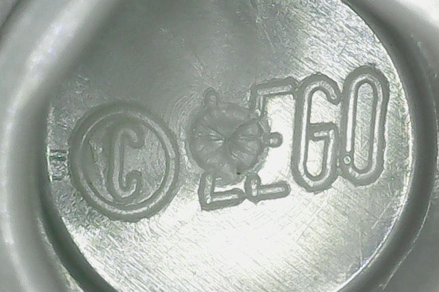 light gray spider underside