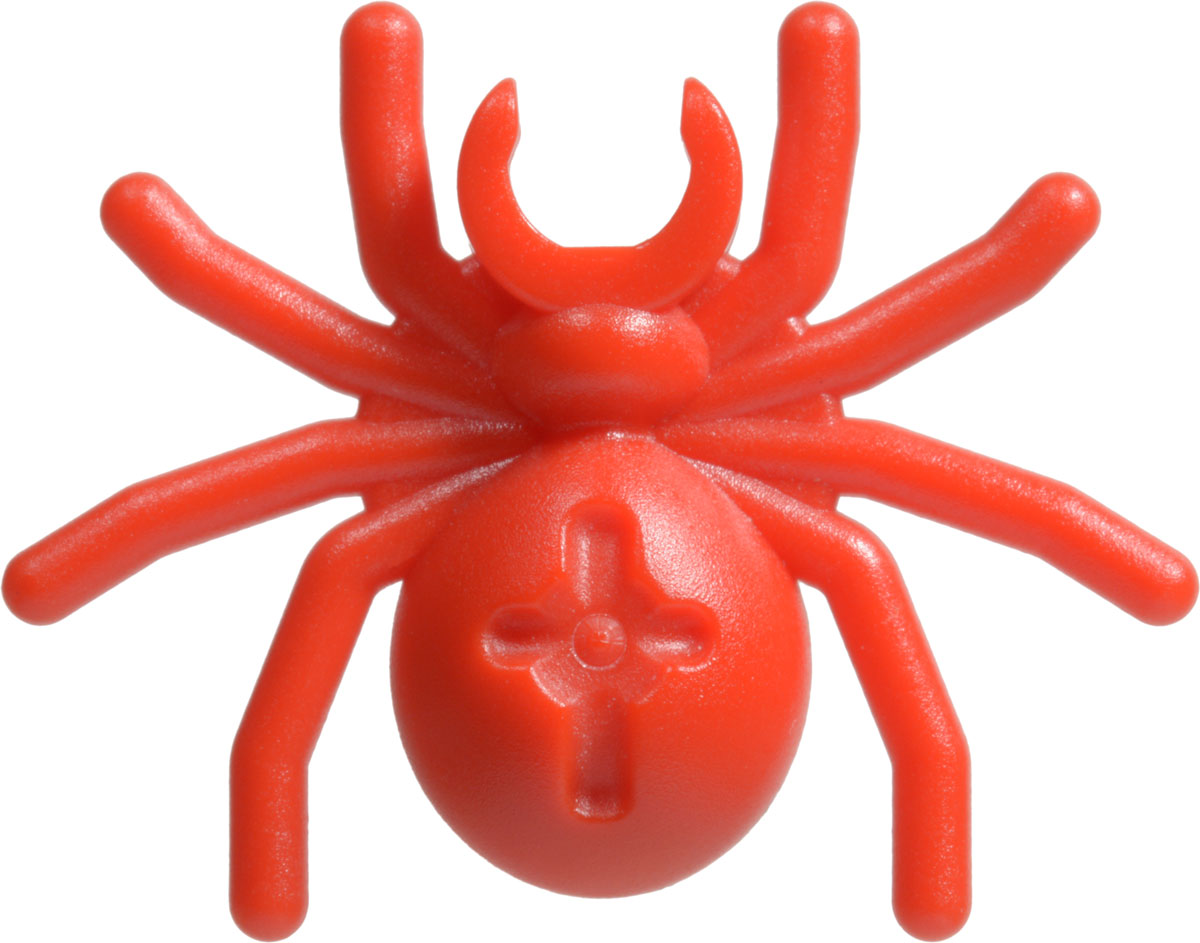 trans neon green spider